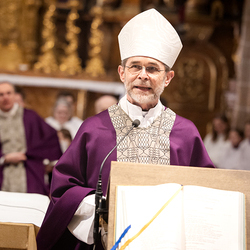 Bischofsprimizmesse Perchtholdsdorf / Erzdiözese Wien/Schönlaub