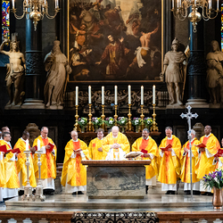 Priesterjubiläen / Erzdiözese Wien/ Schönlaub