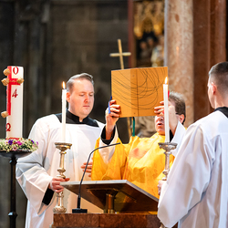 Priesterjubiläen / Erzdiözese Wien/ Schönlaub