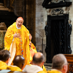 Priesterjubiläen / Erzdiözese Wien/ Schönlaub